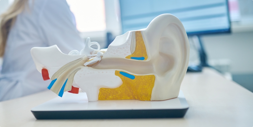 Hearing Aid and Audiology Services Blog